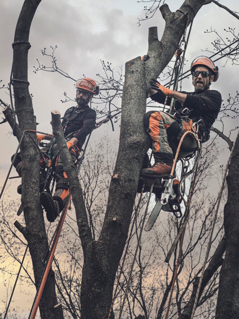 Baumpflege Team Waiblingen Über Uns