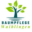 Baumpflege Waiblingen